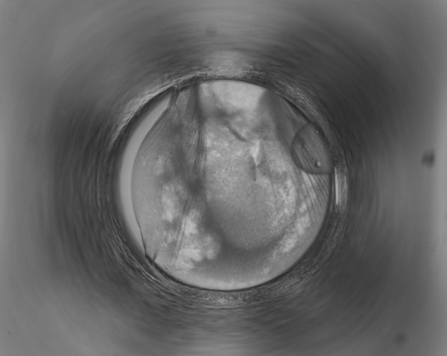 X0000115200675200912091135