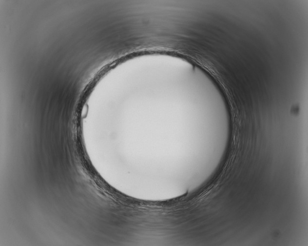 X0000115200676200912091135