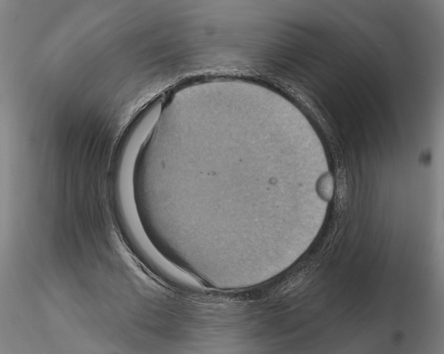 X0000115200677200912091135