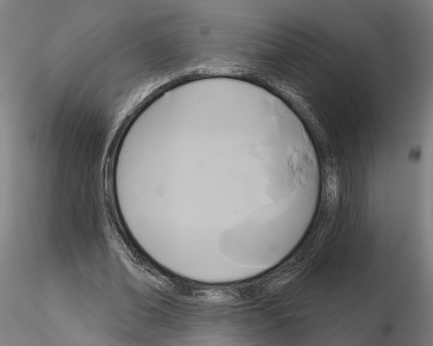 X0000115200678200912091135