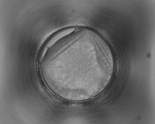 X0000115200680200912091135