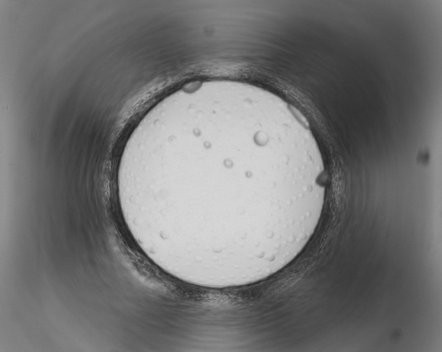 X0000115200682200912091135