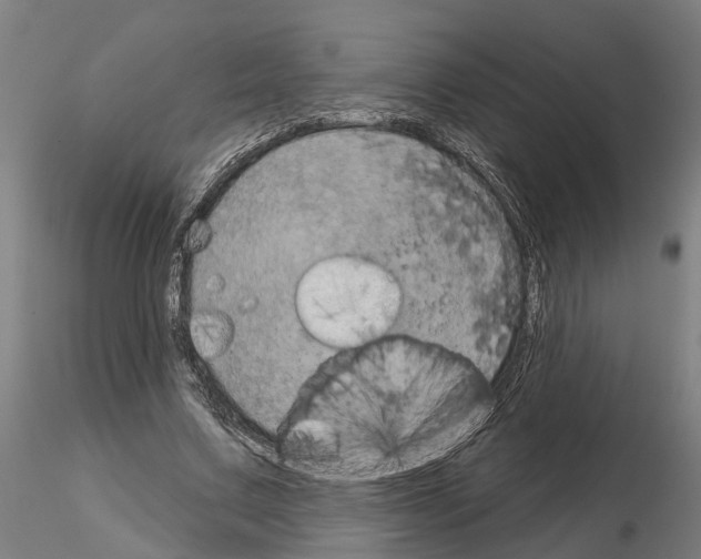 X0000115200683200912091135