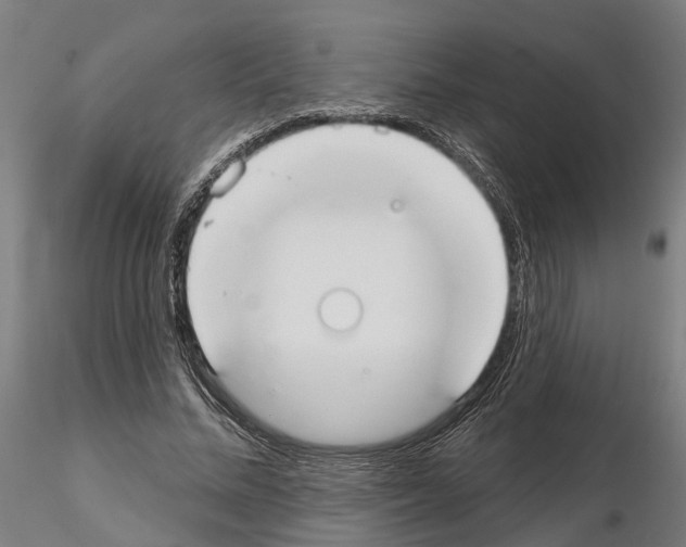 X0000115200684200912091135