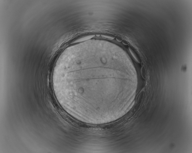 X0000115200685200912091135