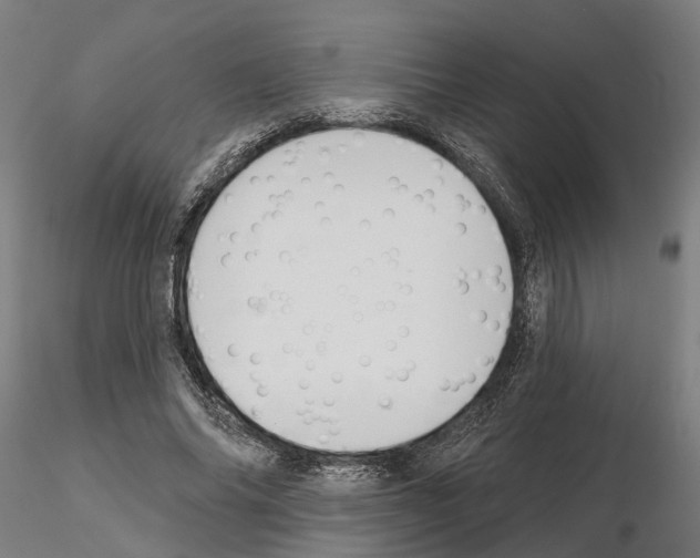 X0000115200686200912091135