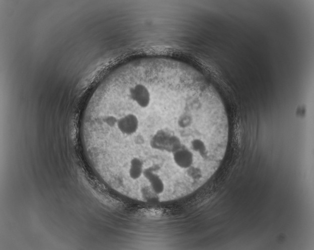 X0000115200687200912091135