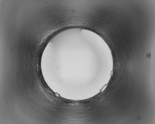 X0000115200688200912091135