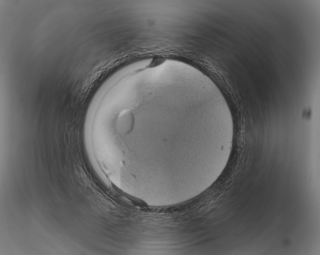 X0000115200689200912091135