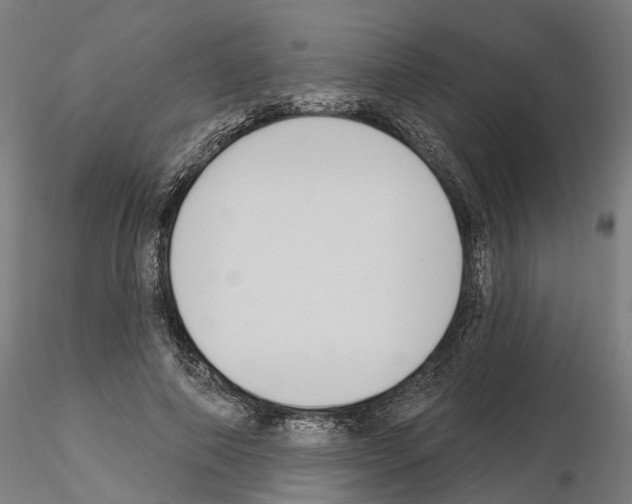 X0000115200690200912091135