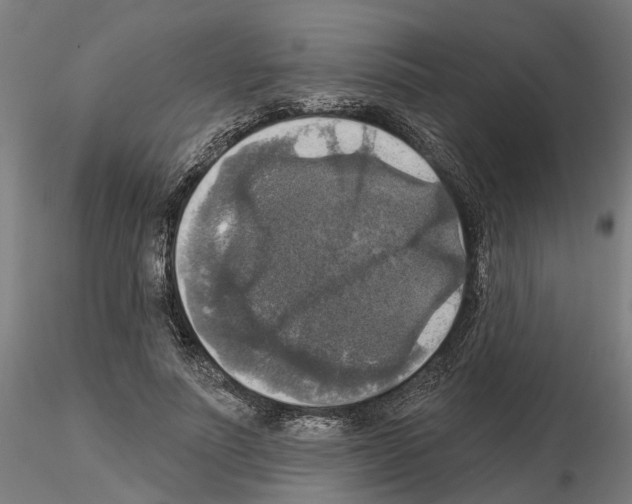 X0000115200691200912091135