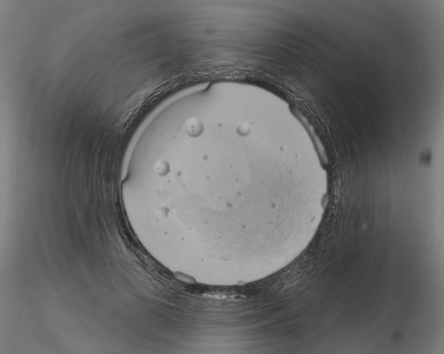 X0000115200693200912091135