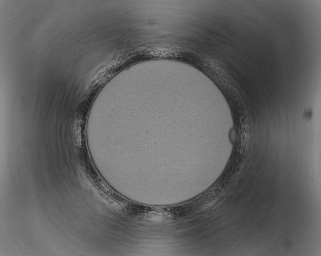 X0000115200696200912091135