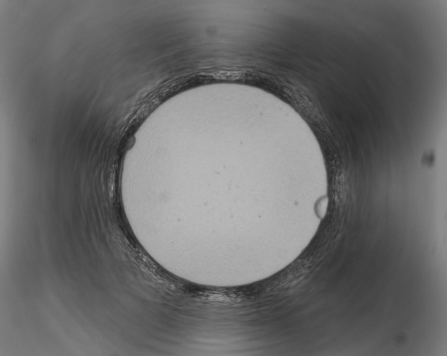 X0000115200697200912091135