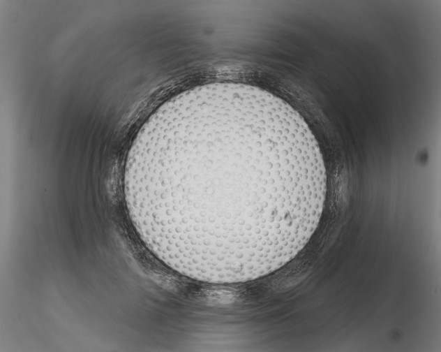 X0000115200698200912091135