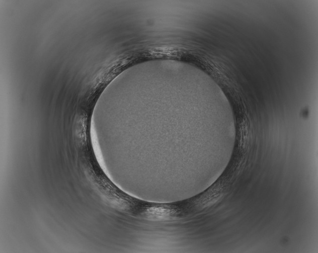 X0000115200699200912091135