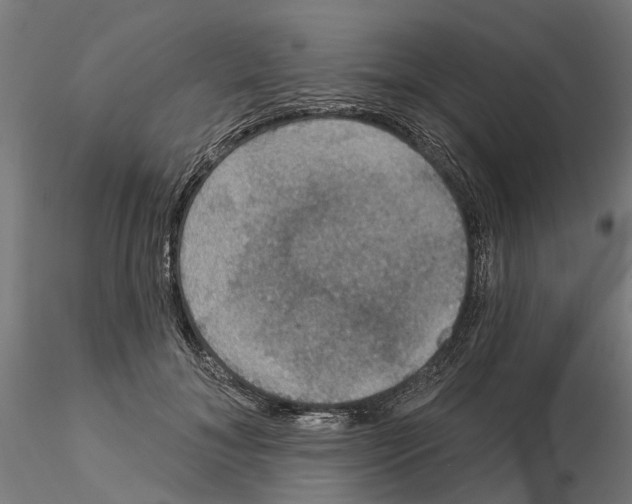 X0000115200700200912091135