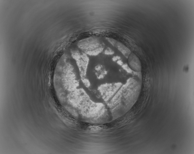 X0000115200703200912091135