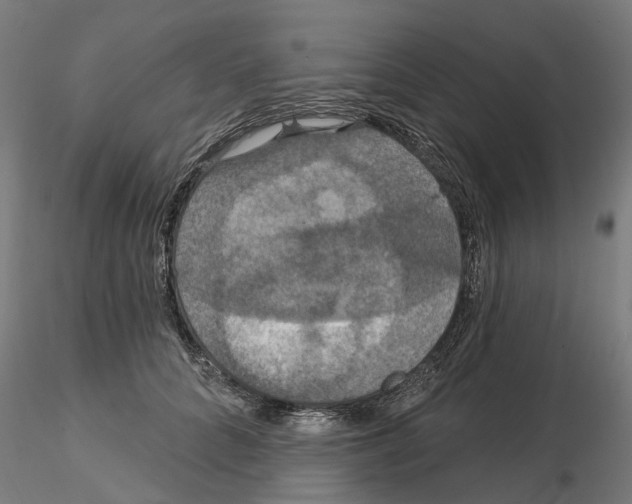 X0000115200704200912091135