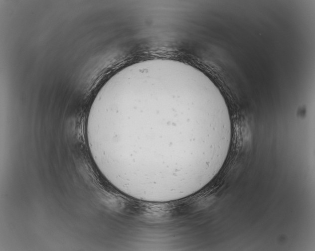 X0000115200705200912091135