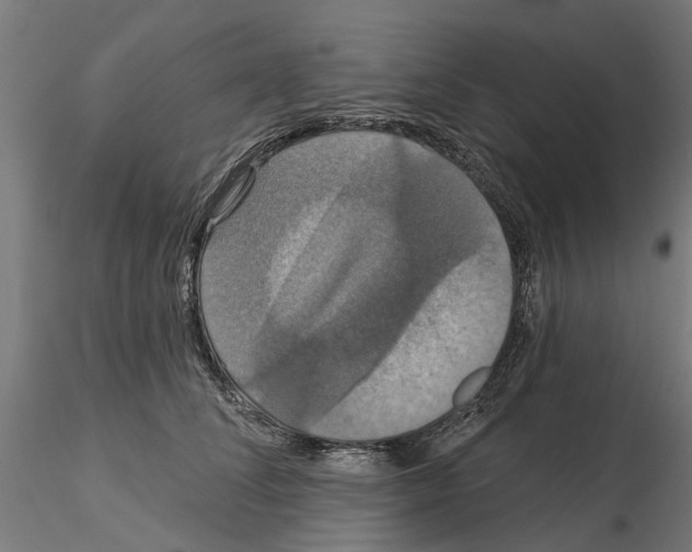 X0000115200708200912091135