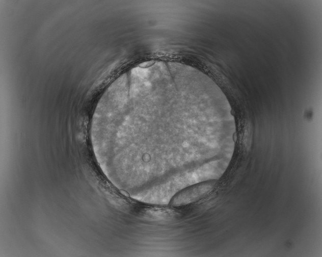 X0000115200712200912091135