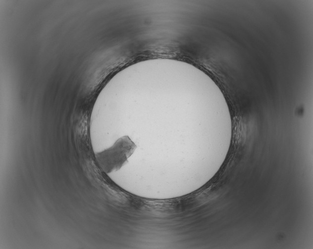 X0000115200713200912091135