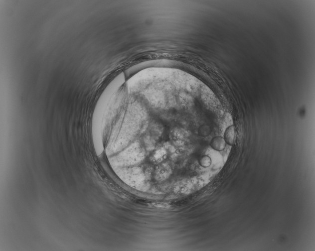 X0000115200715200912091135