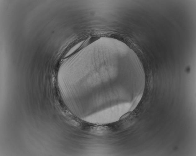 X0000115200716200912091135