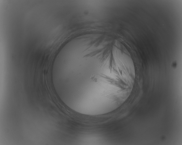 X0000115200717200912091135