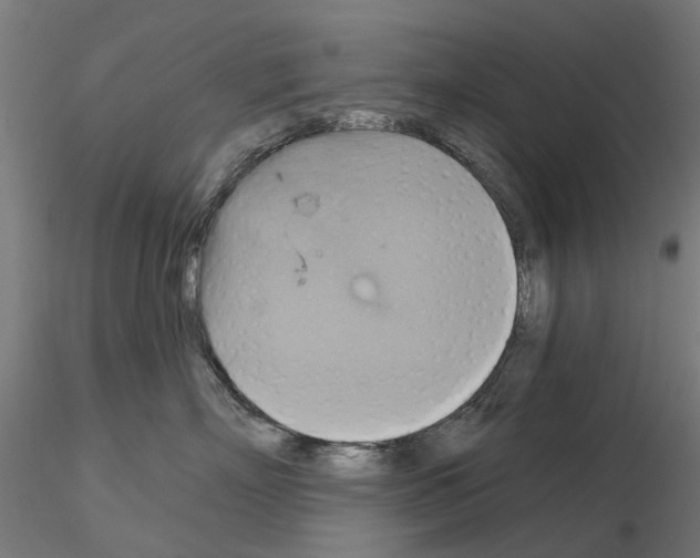 X0000115200718200912091135