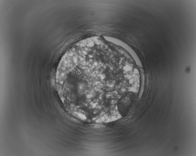 X0000115200719200912091135