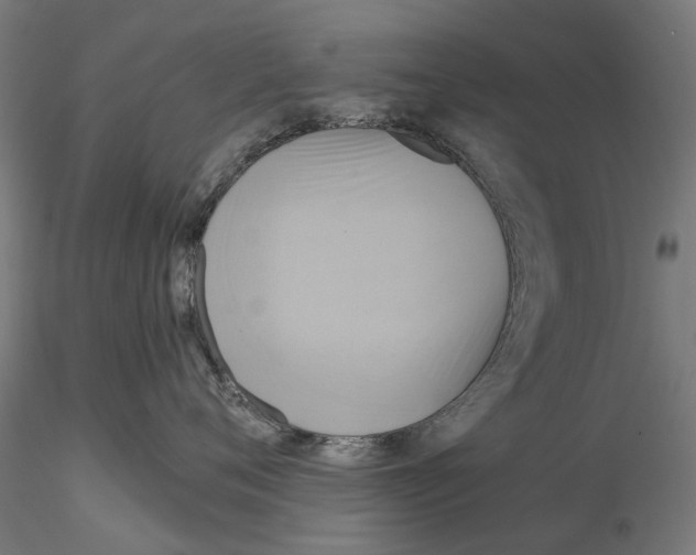 X0000115200720200912091135