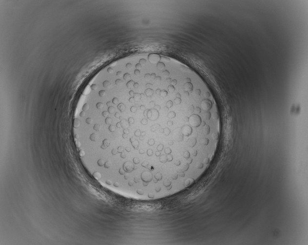 X0000115200721200912091134