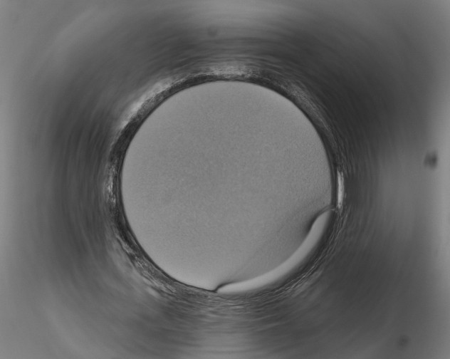 X0000115200723200912091134