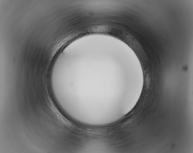 X0000115200725200912091134