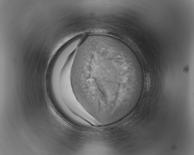 X0000115200726200912091134