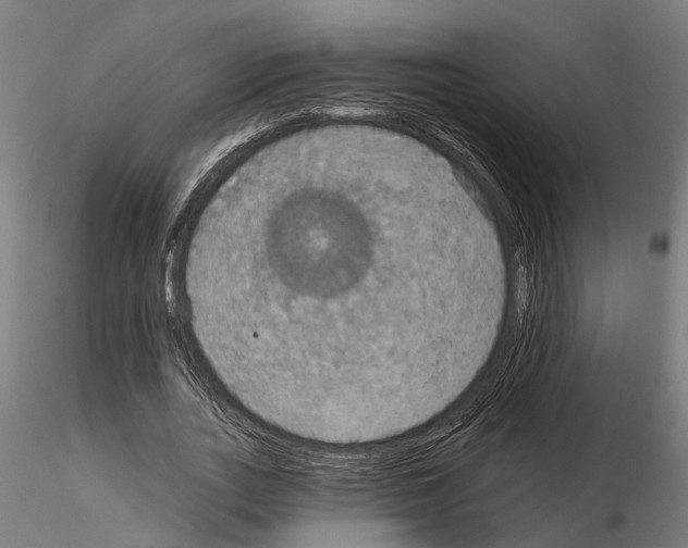 X0000115200727200912091134