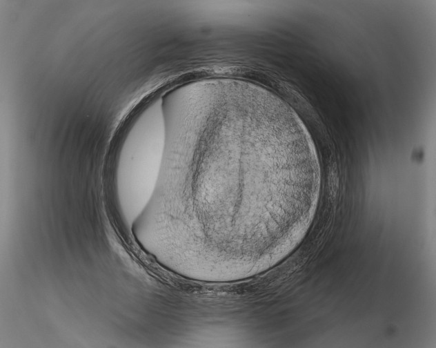 X0000115200730200912091134