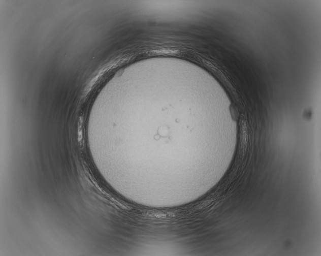 X0000115200731200912091134