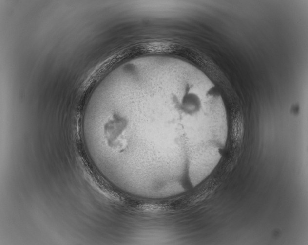 X0000115200733200912091134