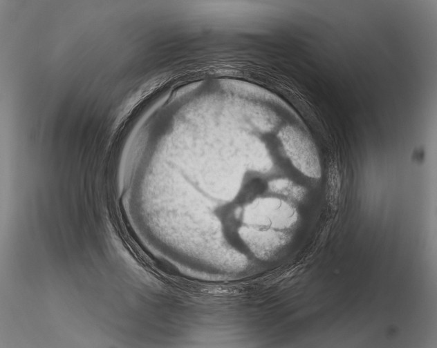 X0000115200734200912091134