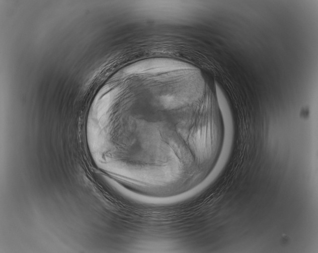 X0000115200735200912091134