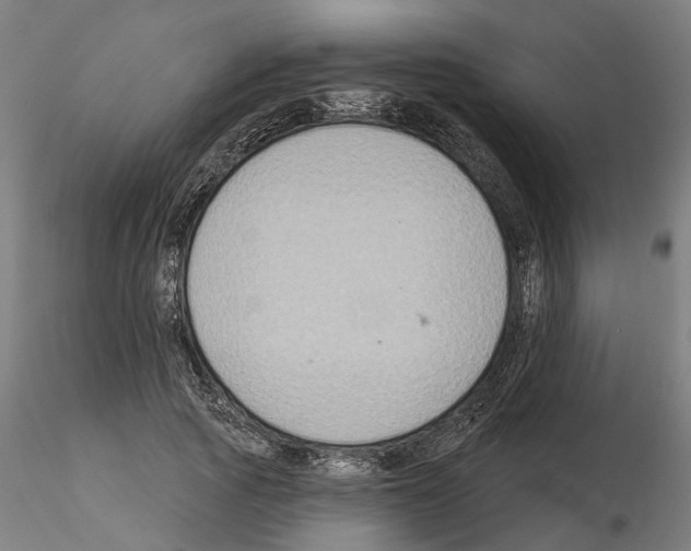 X0000115200737200912091134