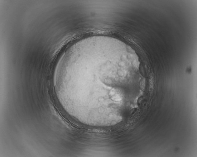 X0000115200738200912091134