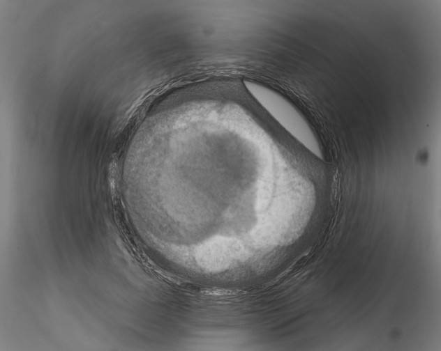 X0000115200739200912091134