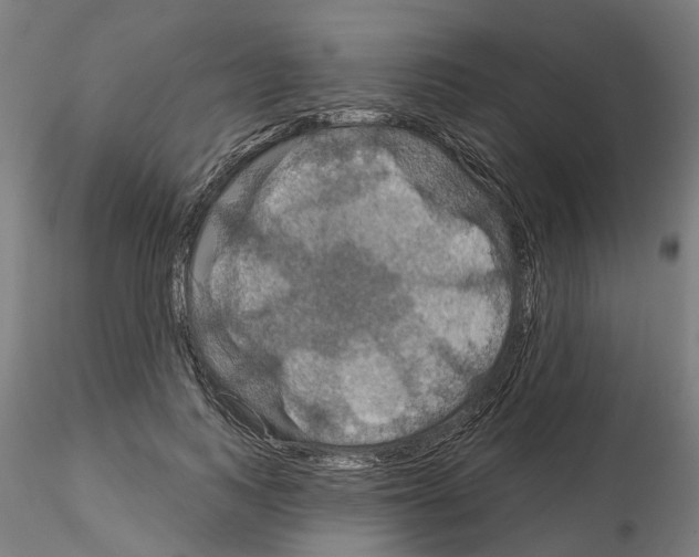 X0000115200743200912091134