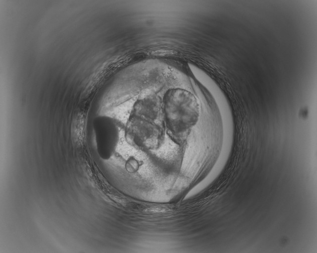 X0000115200745200912091134