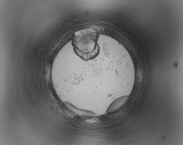 X0000115200753200912091134