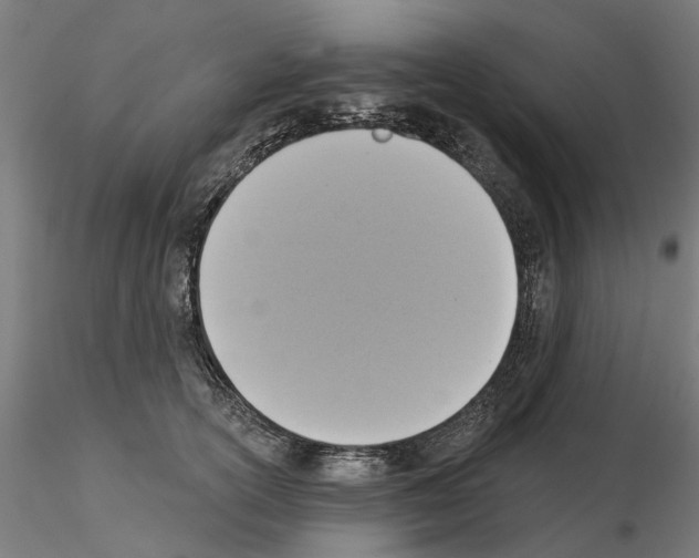 X0000115200754200912091134